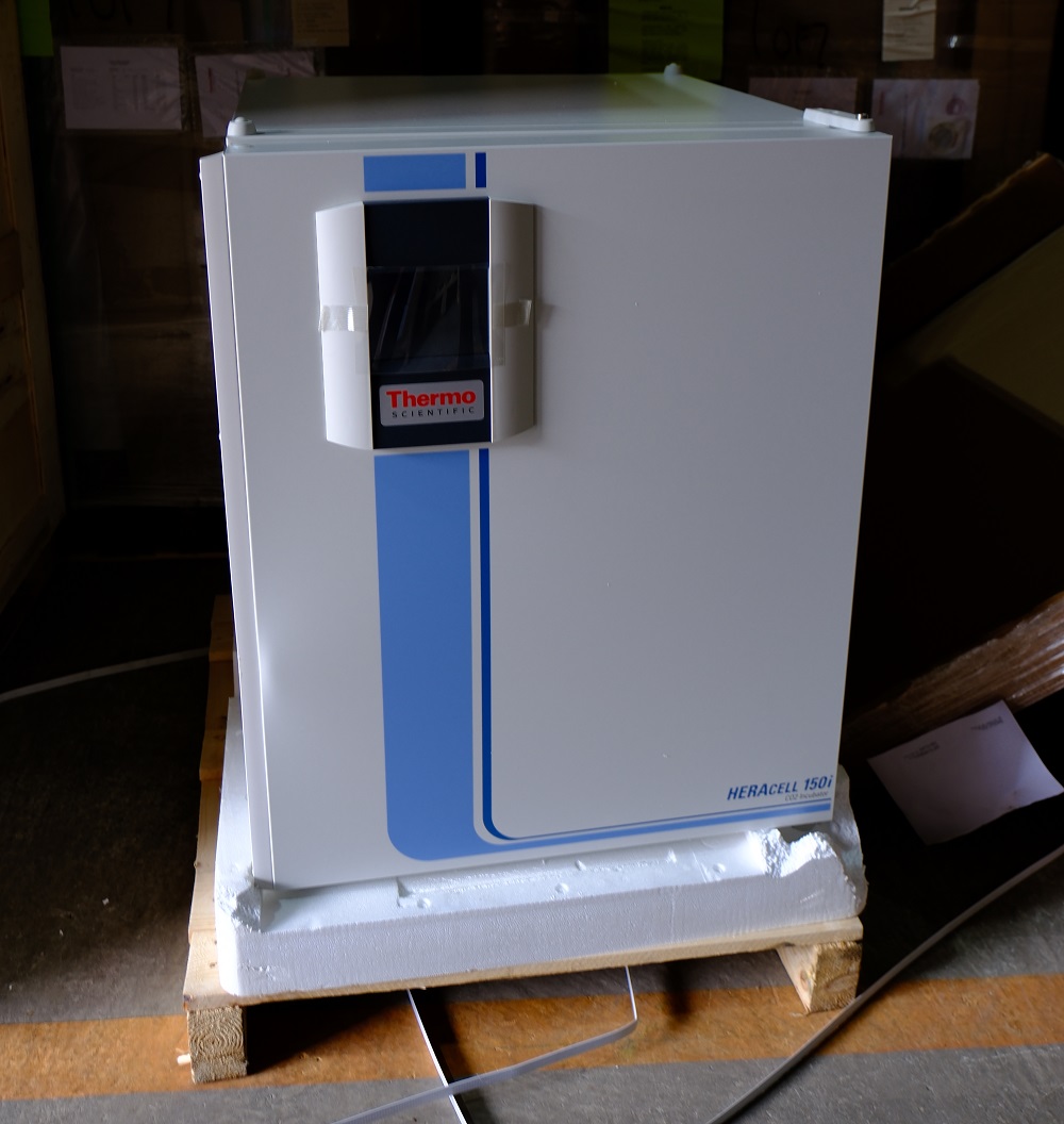 赛默飞Heracell™ 150i 二氧化碳培养箱 细胞培养箱 北京博为高科生物科技有限公司